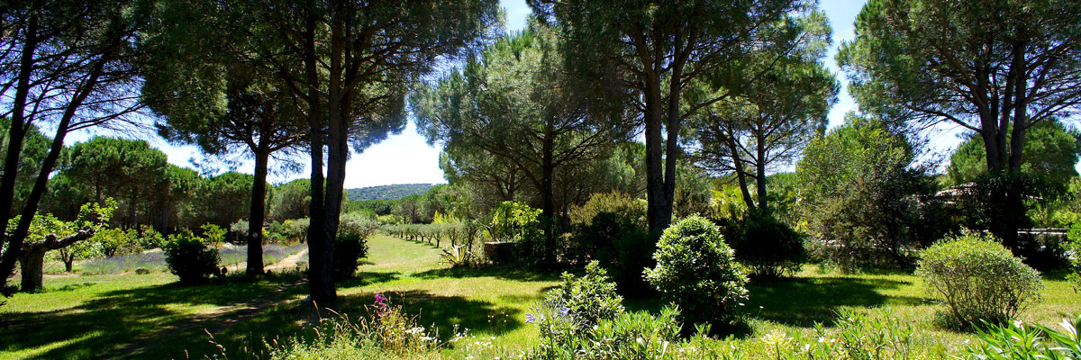 Maison d'hotes, Ramatuelle, St Tropez, Campagne, Les Jumeaux