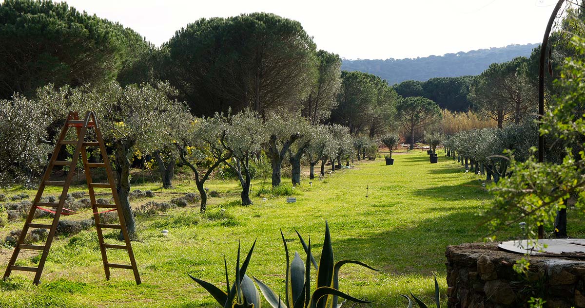 Campagne Les Jumeaux : Campagne Les Jumeaux, Ramatuelle 