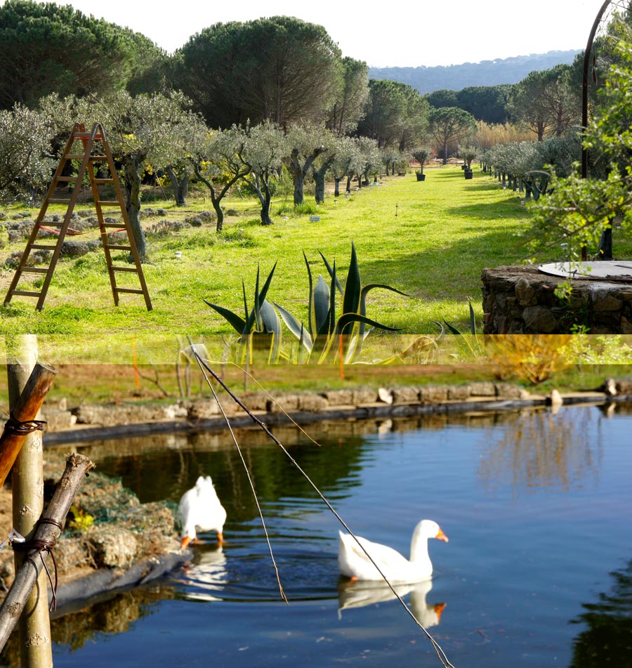 Maison d'hotes, Ramatuelle, St Tropez, Campagne, Les Jumeaux